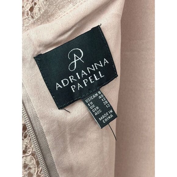 Adrianna Papell Lace Dress in Blush Pink - Picture 7 of 10